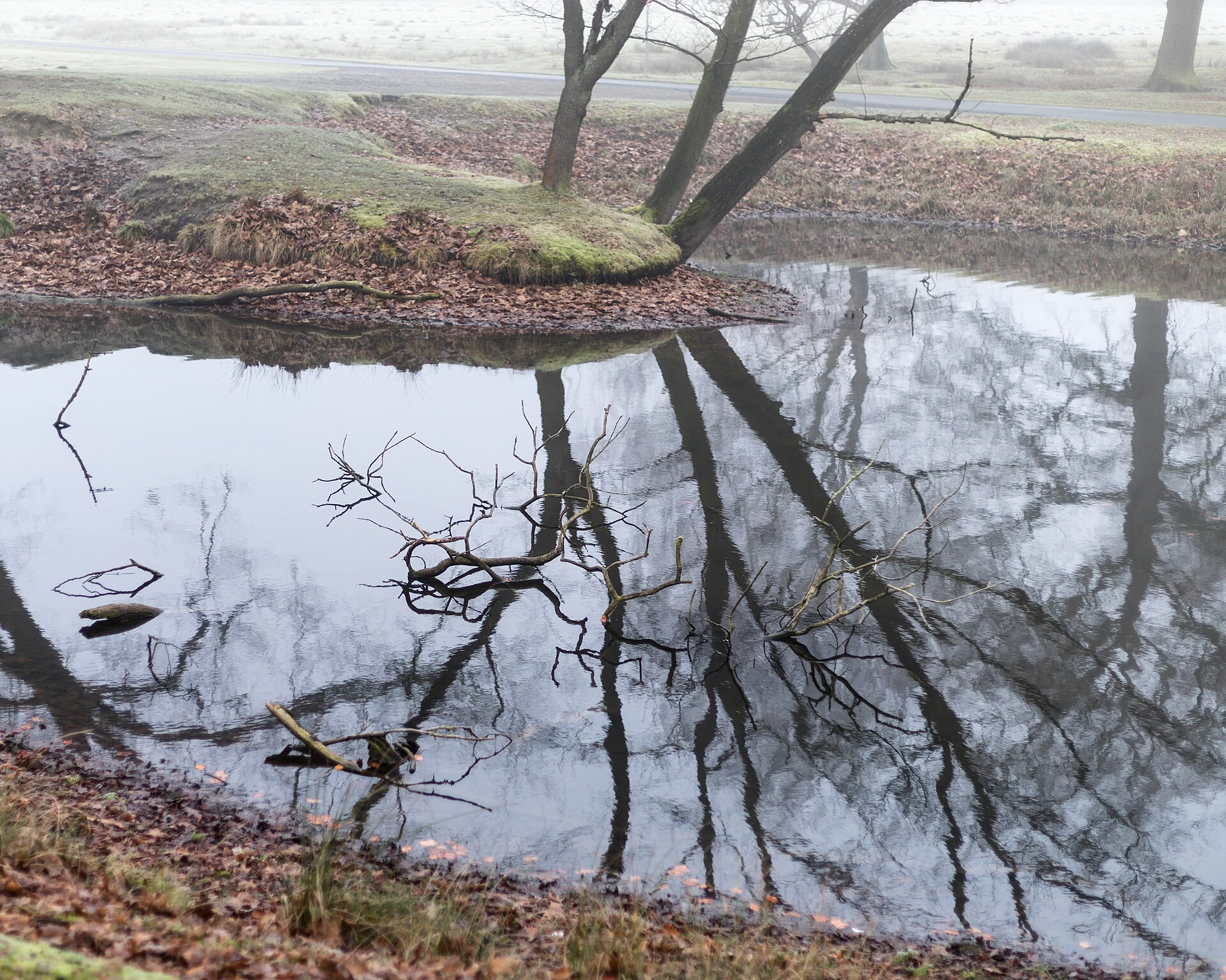 Dülmen, Wildpark    2017    0012