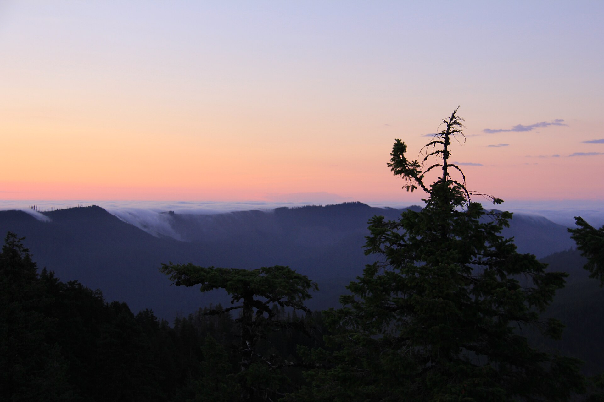 Early Morning (11407631363)