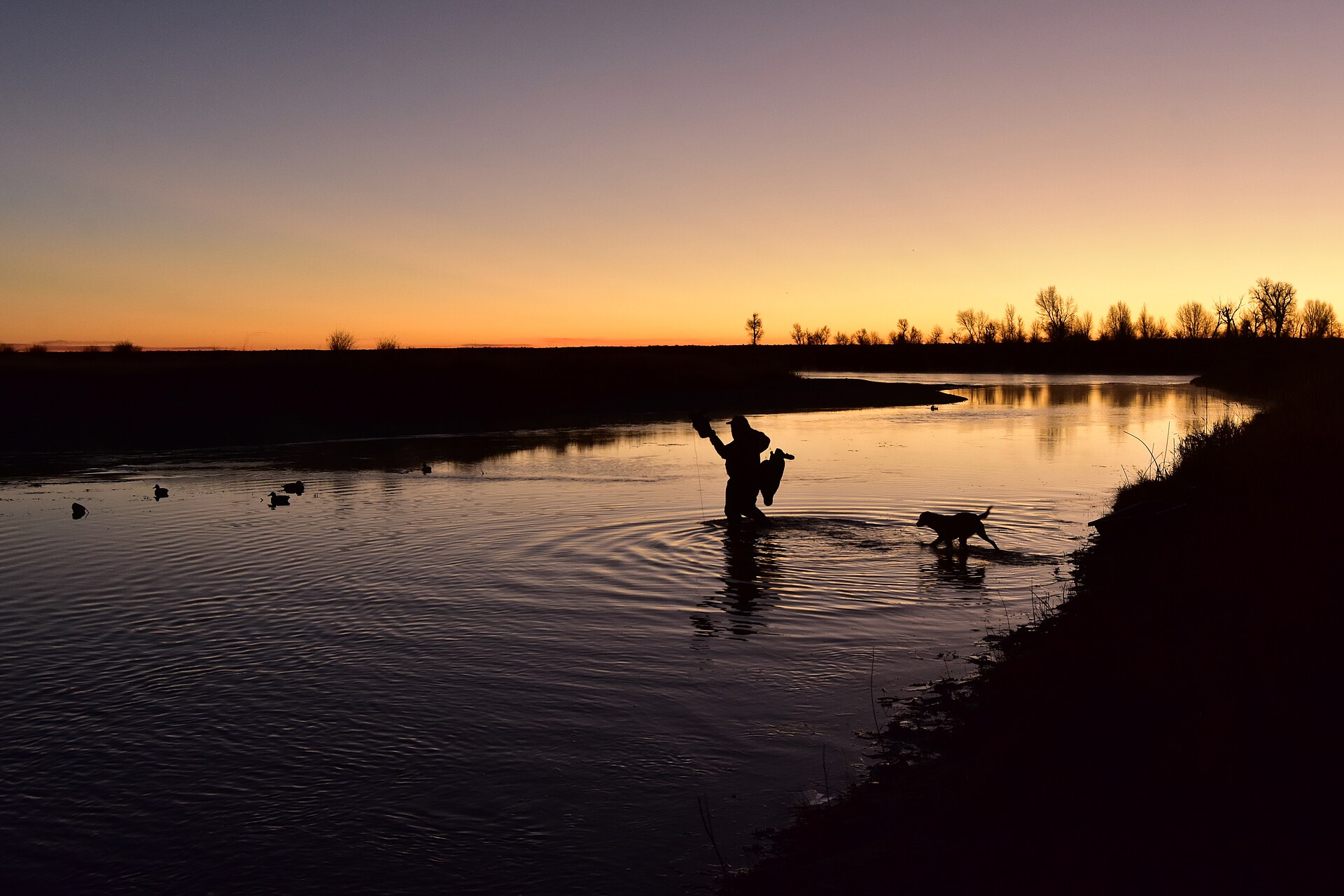 Duck Hunting Traditions (50570108256)