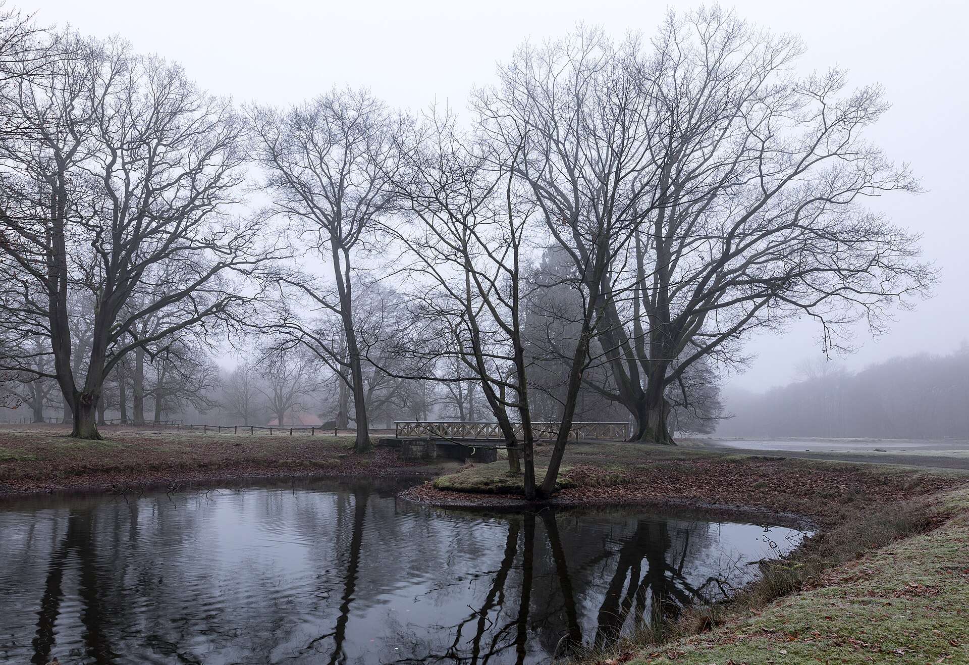 Dülmen, Wildpark    2017    0006