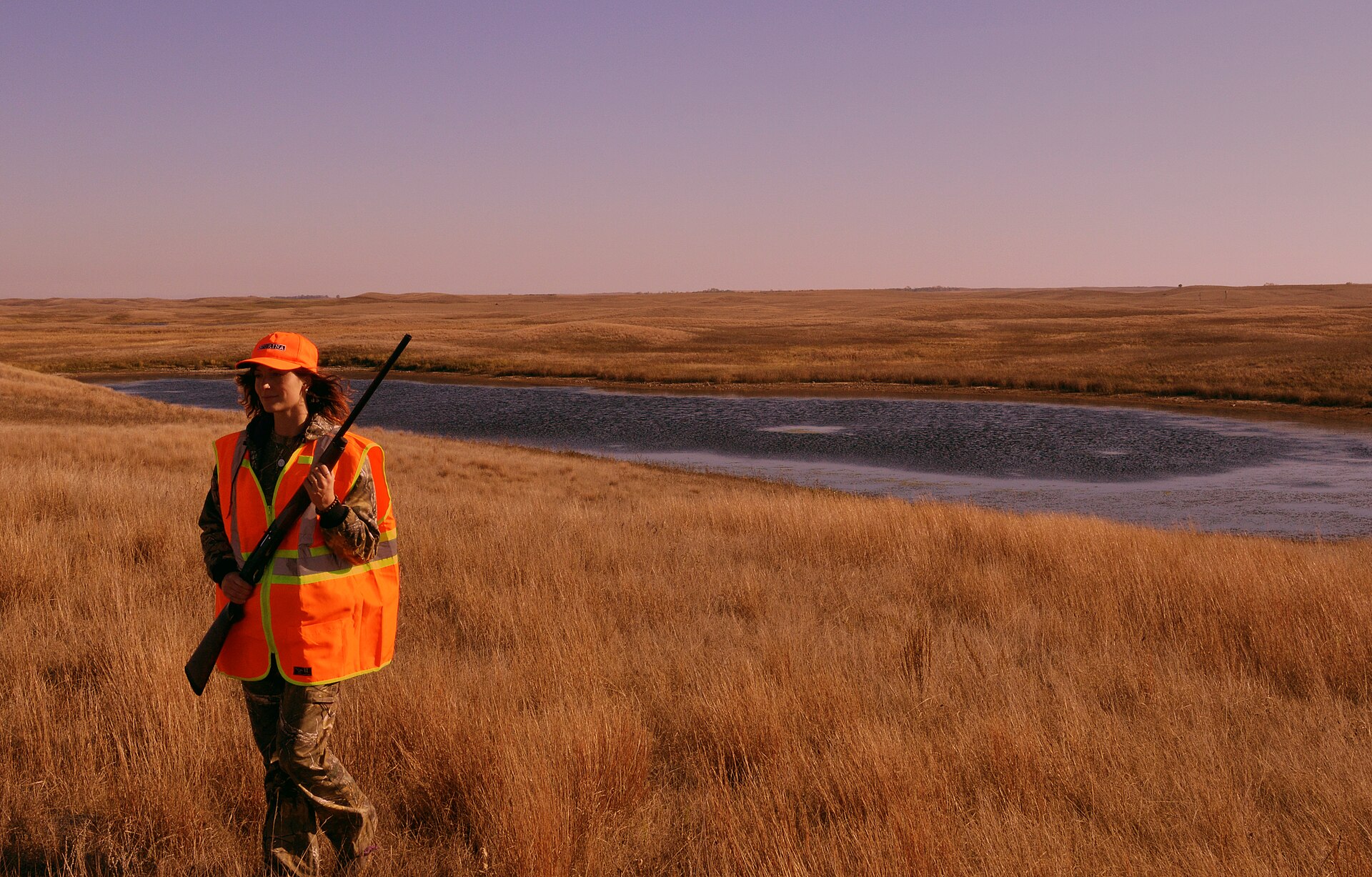 Grouse Hunting (21958249269)