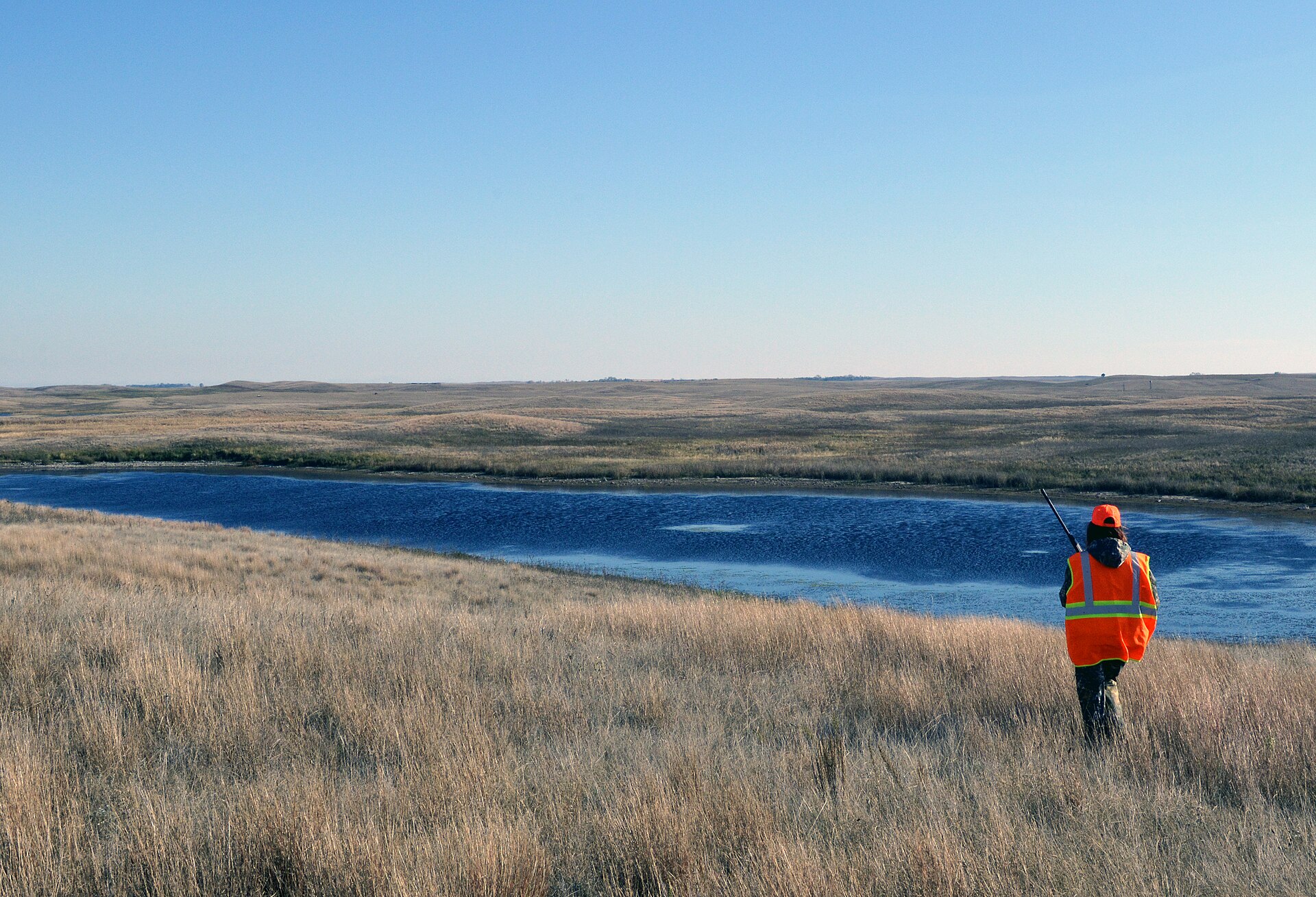 Grouse Hunting (21958244049)