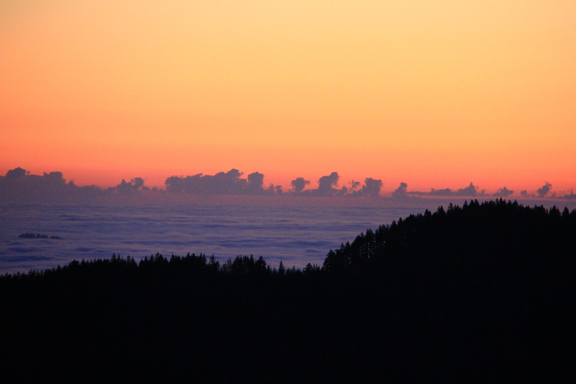 Morning View (11407315226)