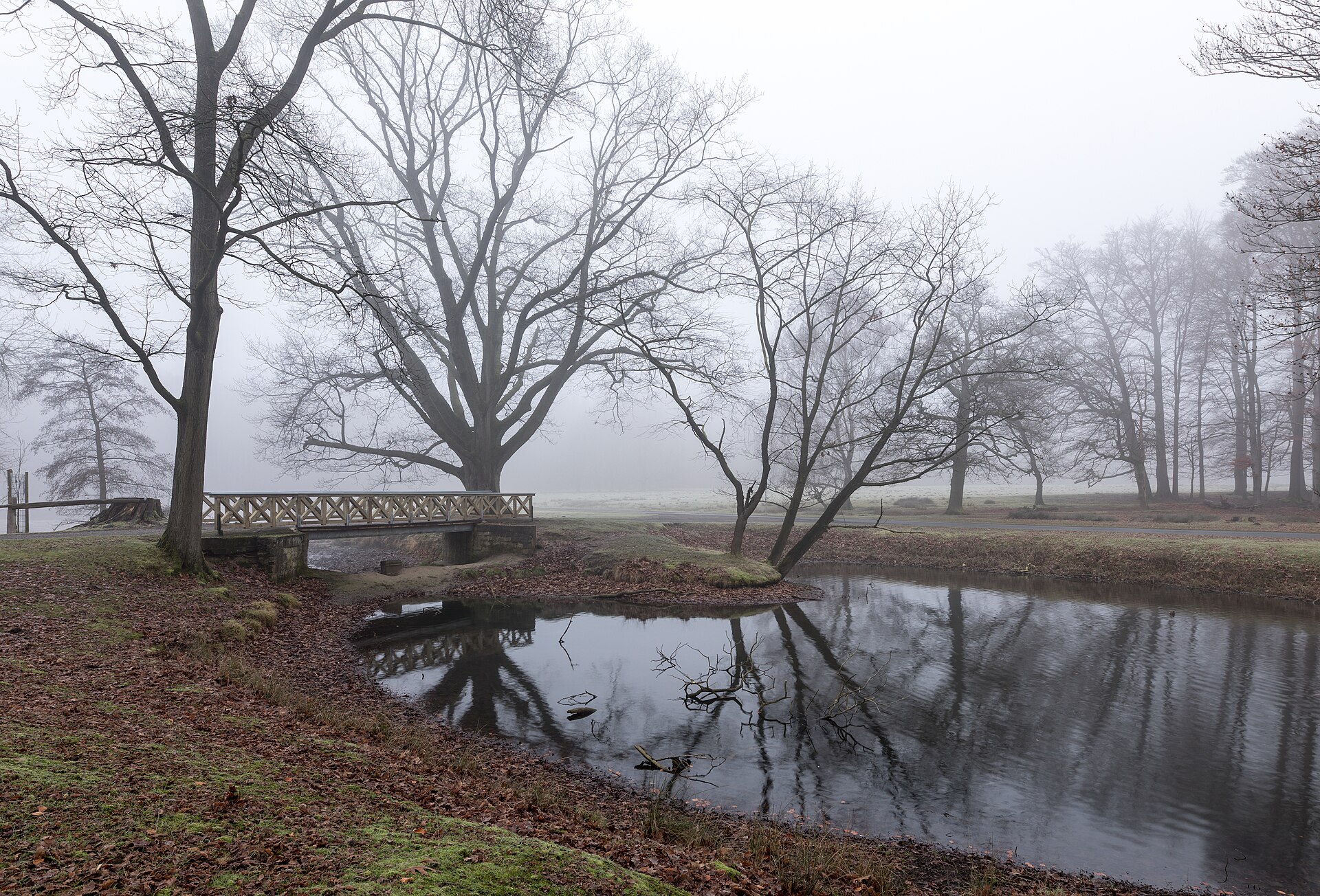 Dülmen, Wildpark    2017    0010
