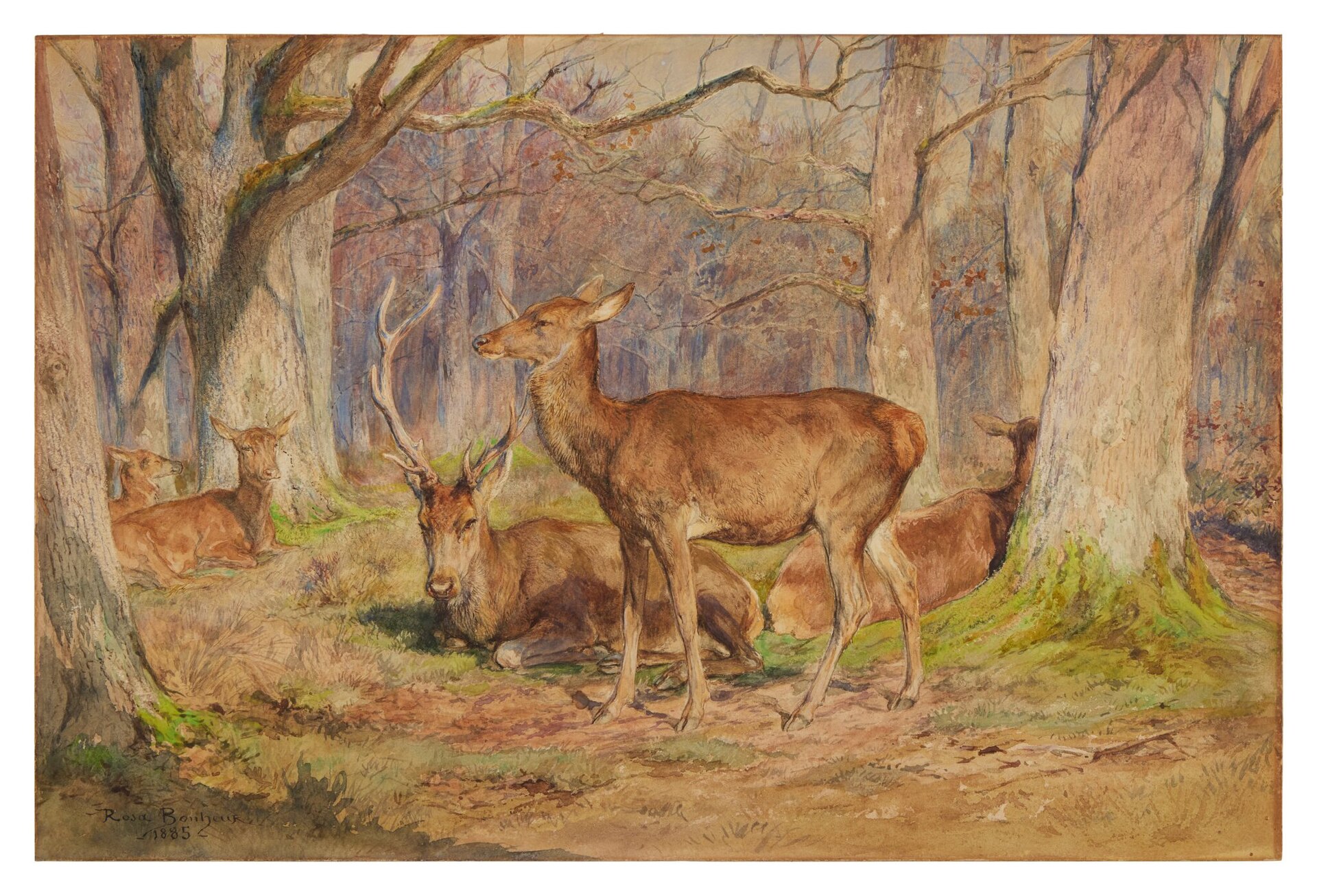 Family of Deer in the Fontainebleau Forest. End of Fall. Early Morning)